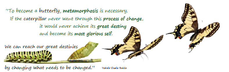 caterpillars-metamorphosis-to-butterfly-chaellas-wordpress-com-quote